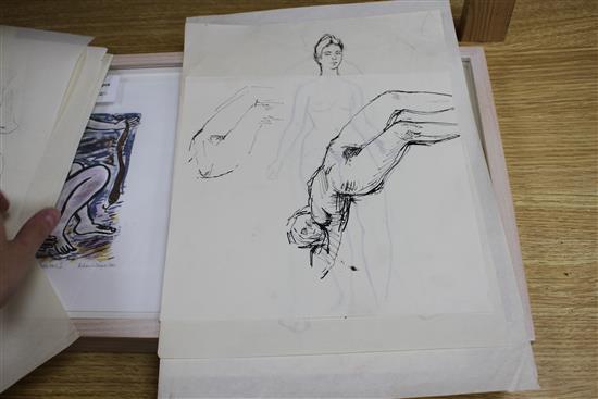 Peter Collins, twelve pen and ink on paper, Studies of female nudes, largest 35 x 25cm, unframed